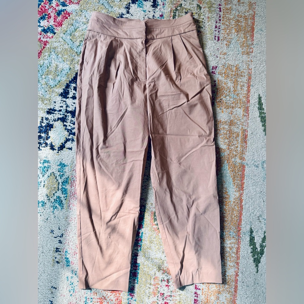 Express Dress Pants